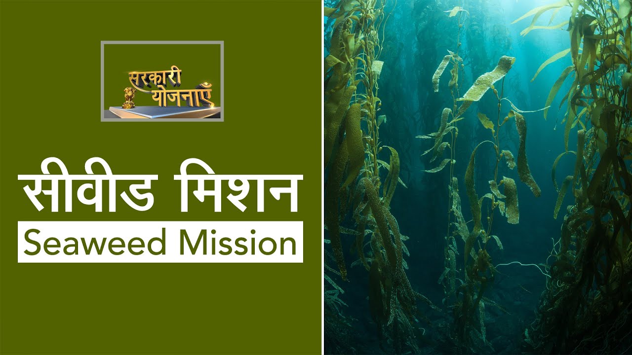 Seaweed Mission - Government Scheme | Drishti IAS