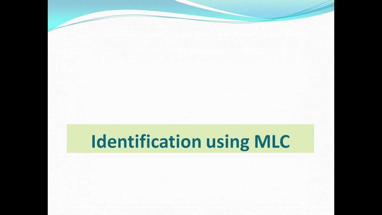 Different modes of identification